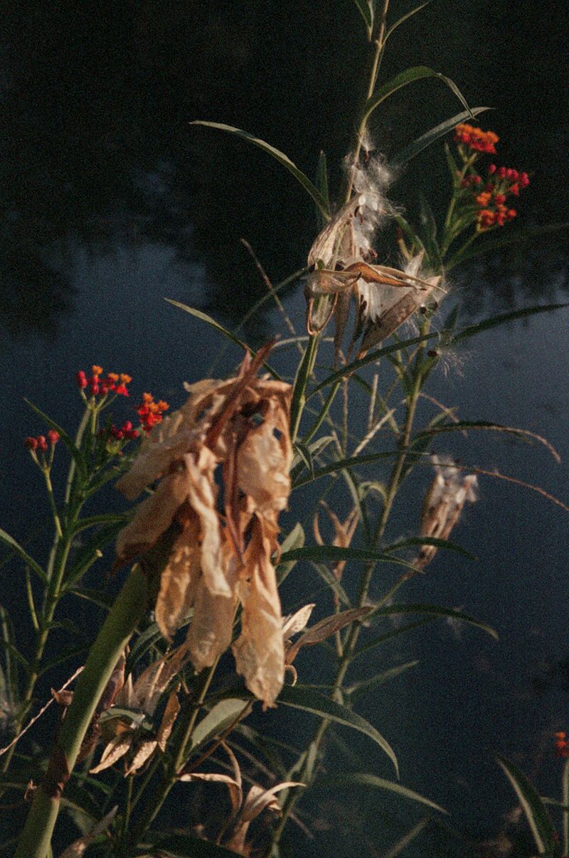 © Myrto Papadopoulos - Image from the Where The Water Flows photography project