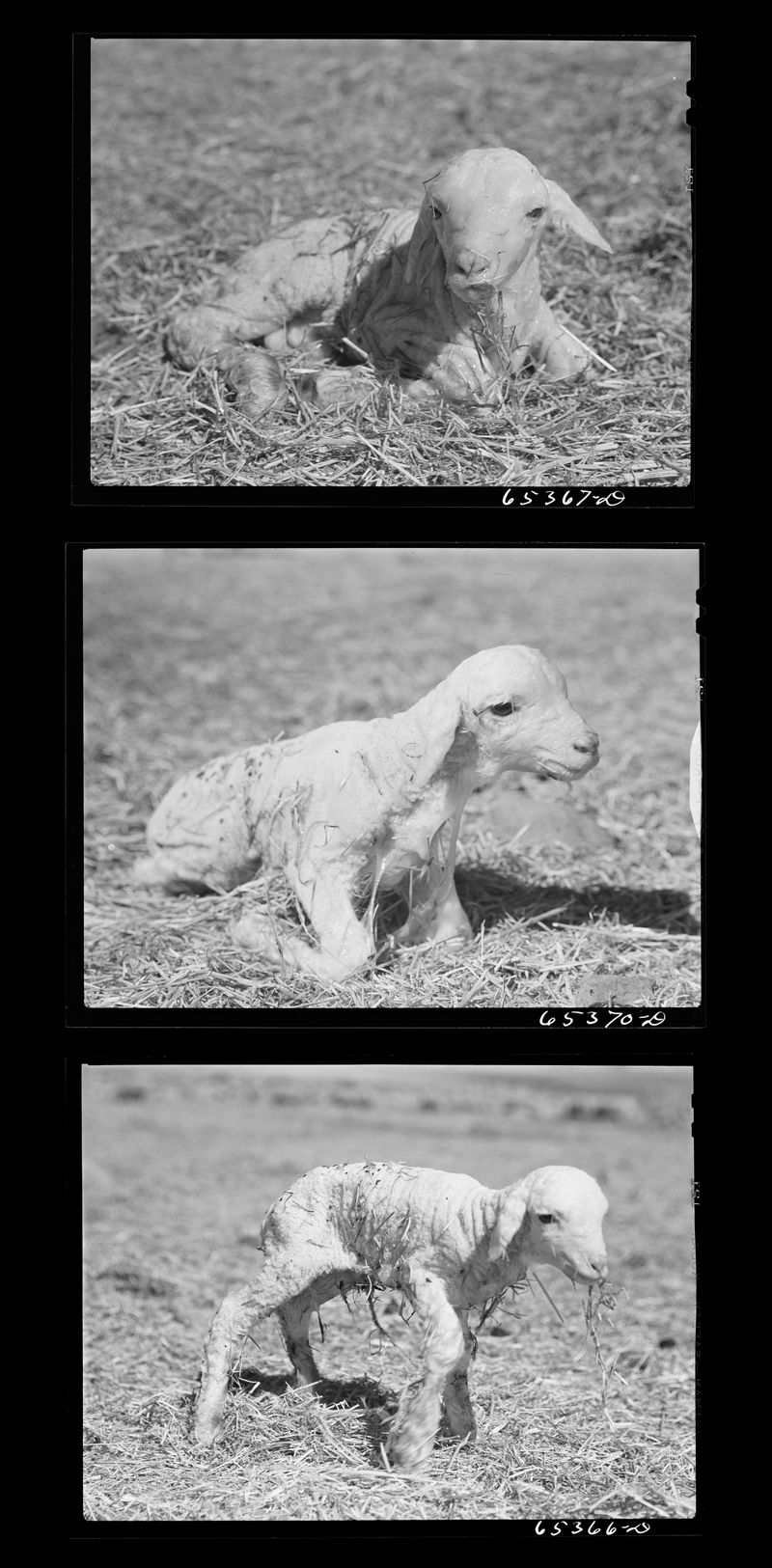 © Myrto Papadopoulos - Image from the Where The Water Flows photography project