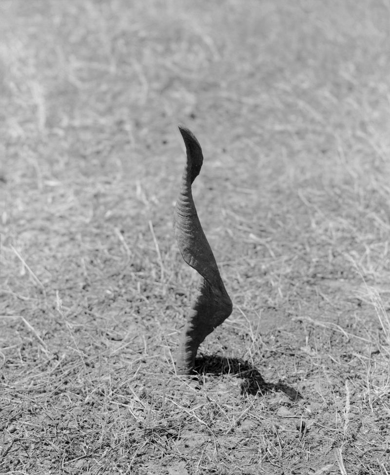 © Myrto Papadopoulos - Image from the Where The Water Flows photography project