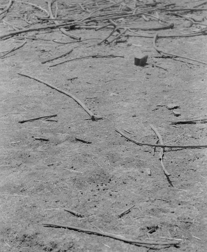 © Myrto Papadopoulos - https://vimeo.com/1146233384