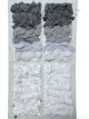 Dryer Filter Lint