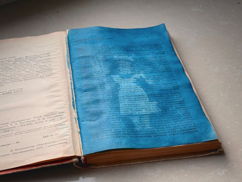 © Julia Zyrina - Image from the AI LOF JOE photography project