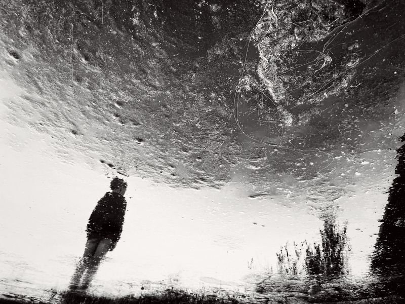© Julia Zyrina - Stars by the handful, the distant frog pond