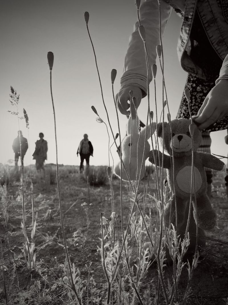 © Julia Zyrina - The faith that summer will never end