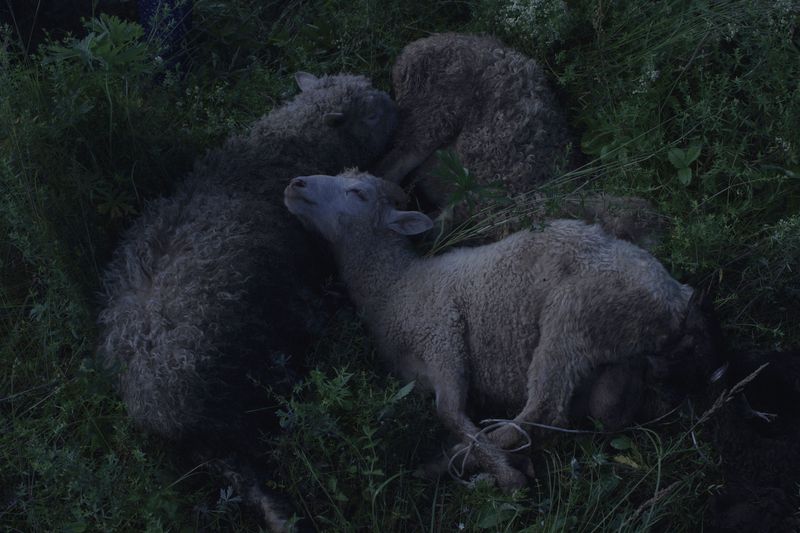 © Dmitry Ermakov - Image from the River Under Earth photography project