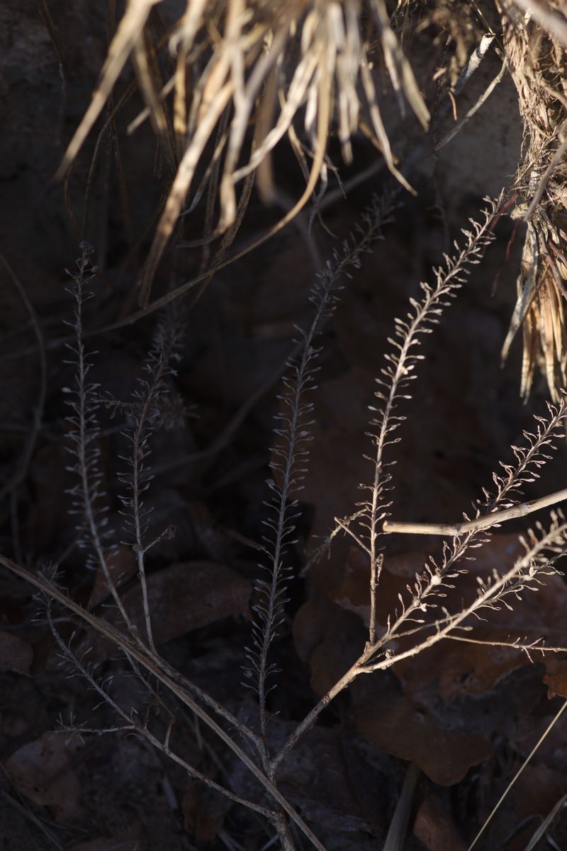 © Dmitry Ermakov - Image from the River Under Earth photography project