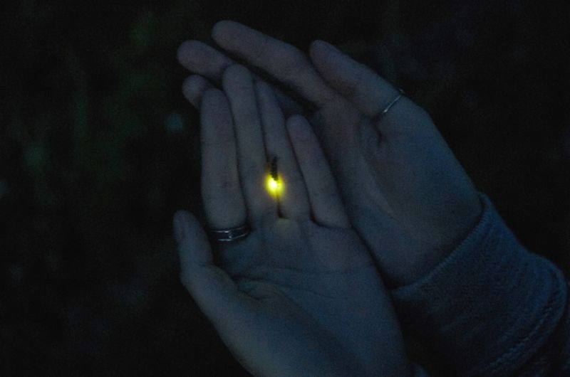 © Dmitry Ermakov - Image from the River Under Earth photography project