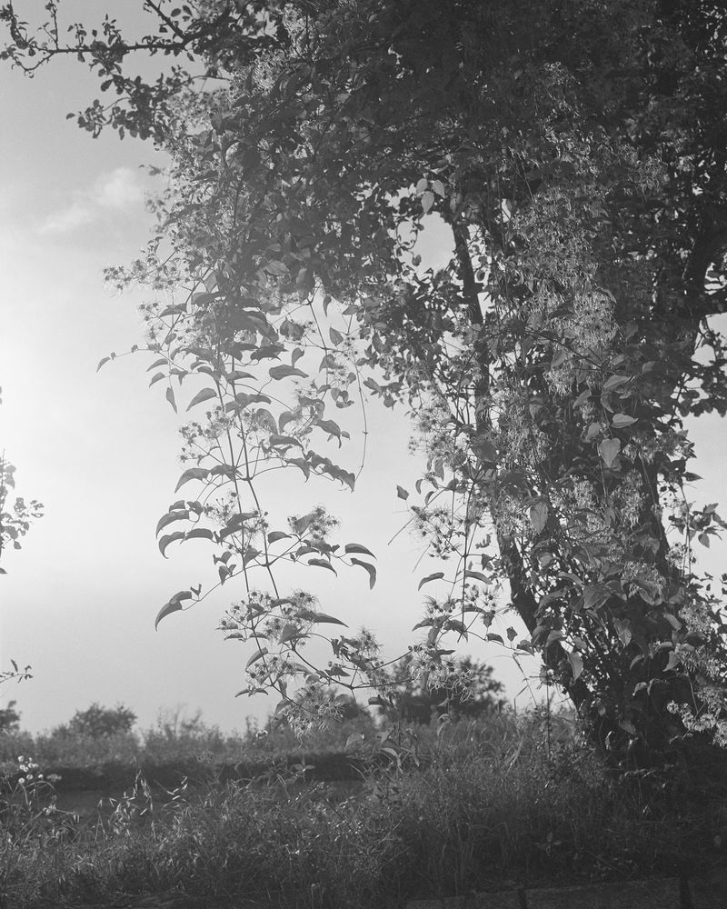 © Filippo Barbero - Image from the Borderland photography project