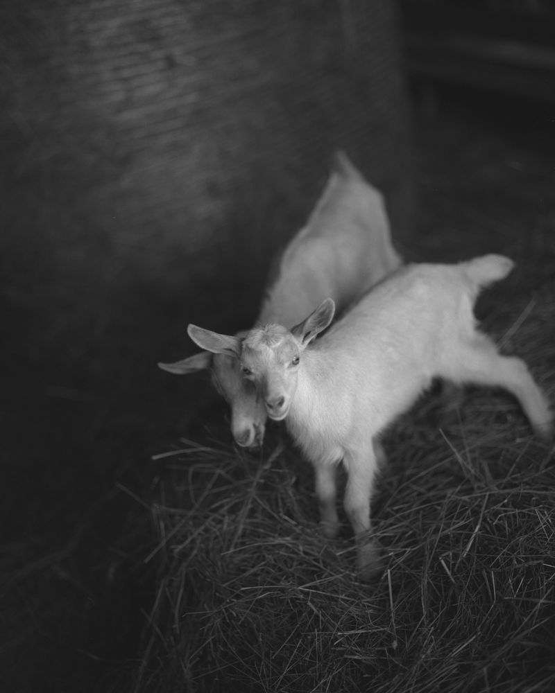 © Filippo Barbero - Image from the Borderland photography project