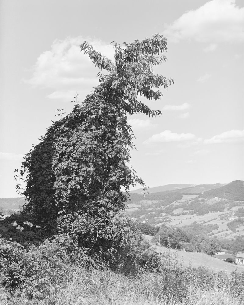 © Filippo Barbero - Image from the Borderland photography project