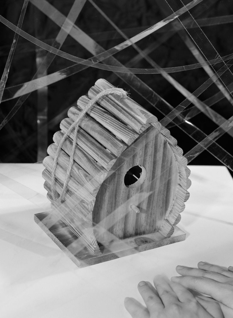 © Nyo Jinyong Lian - Image from the Trust me photography project