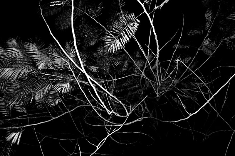 © Thao Duc Bui - Image from the 1/4 photography project