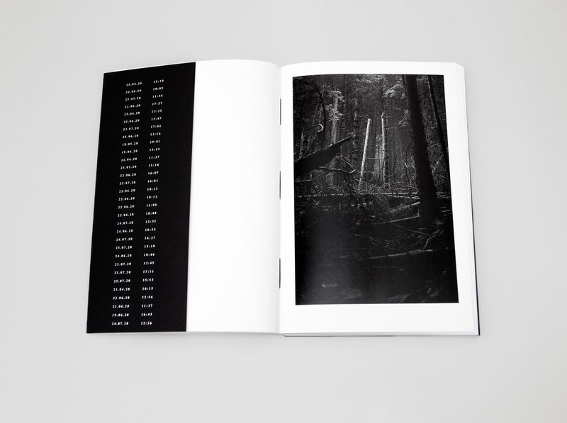 Pandemic Timelesness in a Thaumatrope