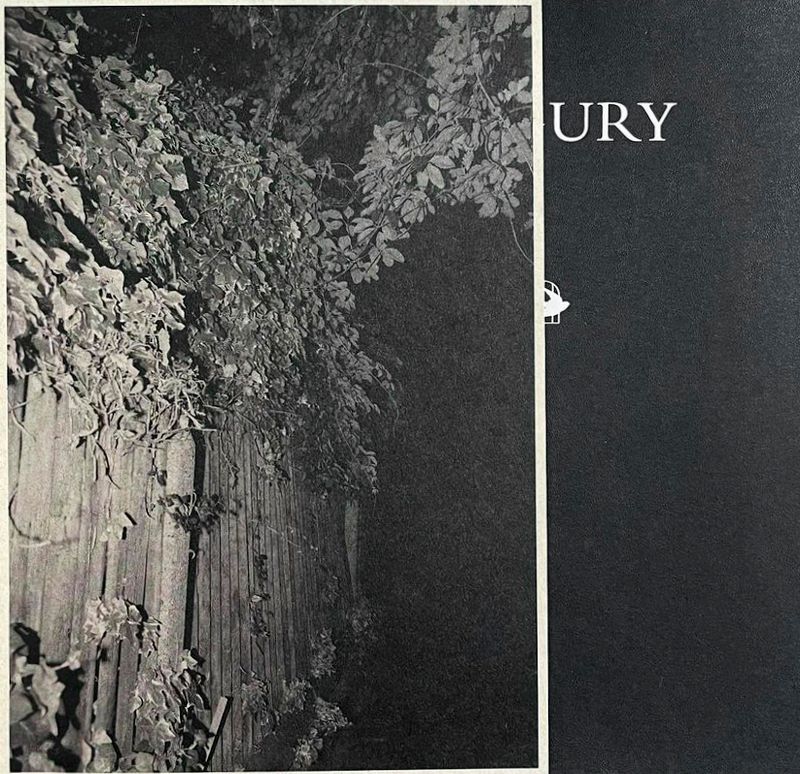 Pandemic Timelesness in a Thaumatrope