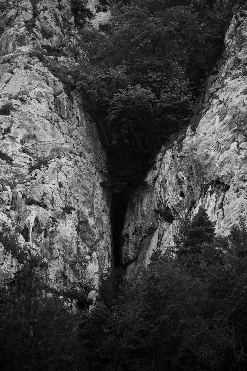 Pandemic Timelesness in a Thaumatrope