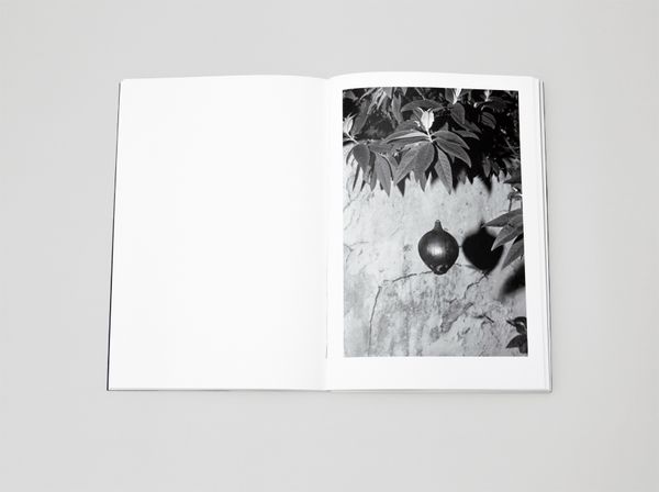 Pandemic Timelesness in a Thaumatrope