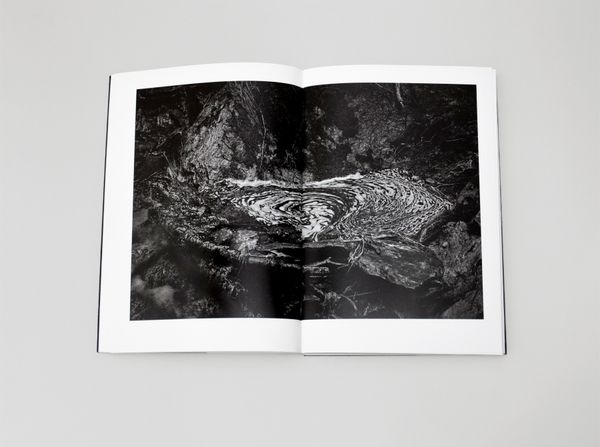 Pandemic Timelesness in a Thaumatrope