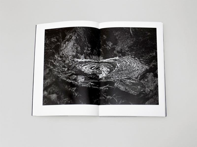 Pandemic Timelesness in a Thaumatrope