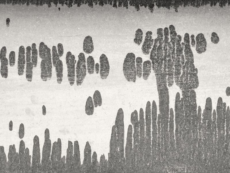 © Lorenzo Di Lernia - Oxidation of a gutter.