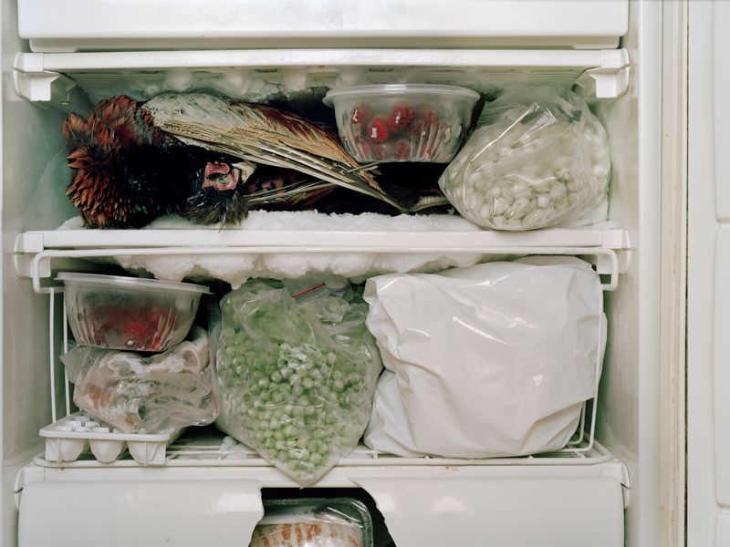 © Geir Moseid - Image from the Plucked photography project