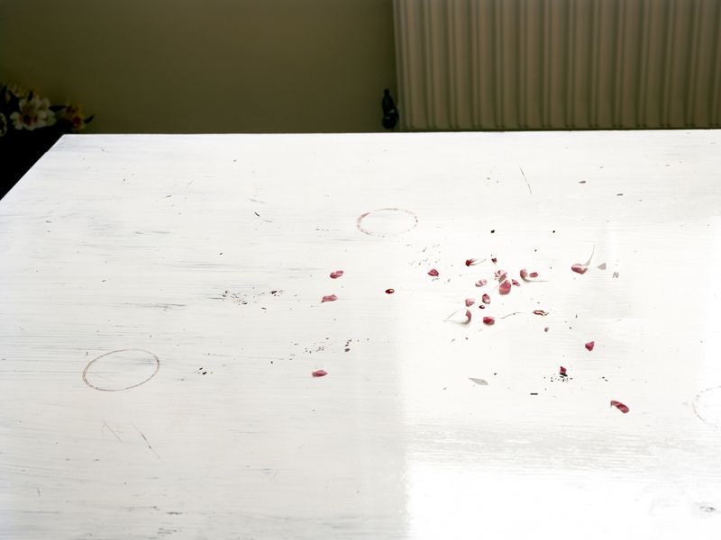 © Geir Moseid - Image from the Plucked photography project