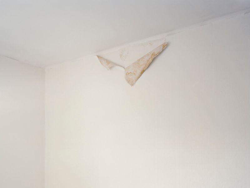 © Geir Moseid - Image from the Plucked photography project