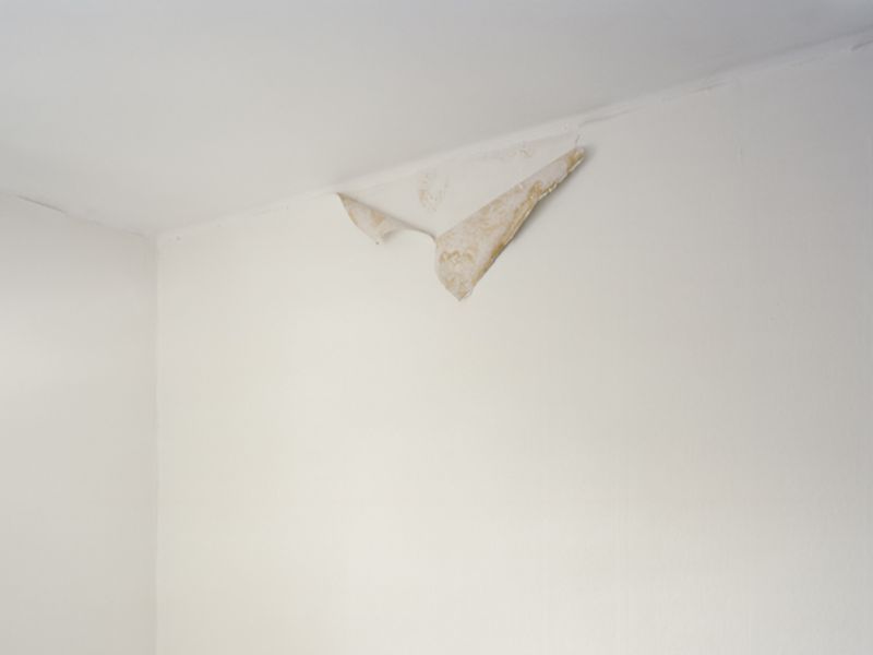 © Geir Moseid - Image from the Plucked photography project