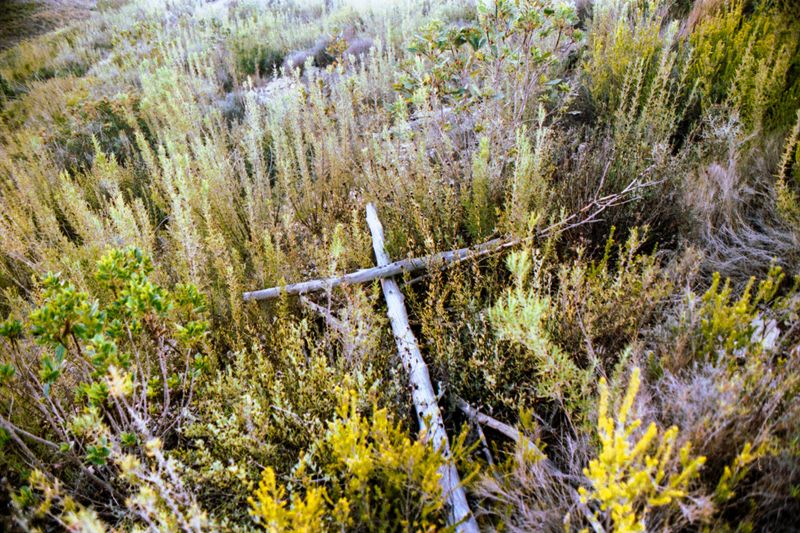 © Shathinda De Zoysa - Image from the Where were you all this time, when I didn't miss you? photography project