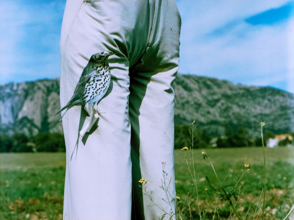 © Shathinda De Zoysa - Image from the Where were you all this time, when I didn't miss you? photography project