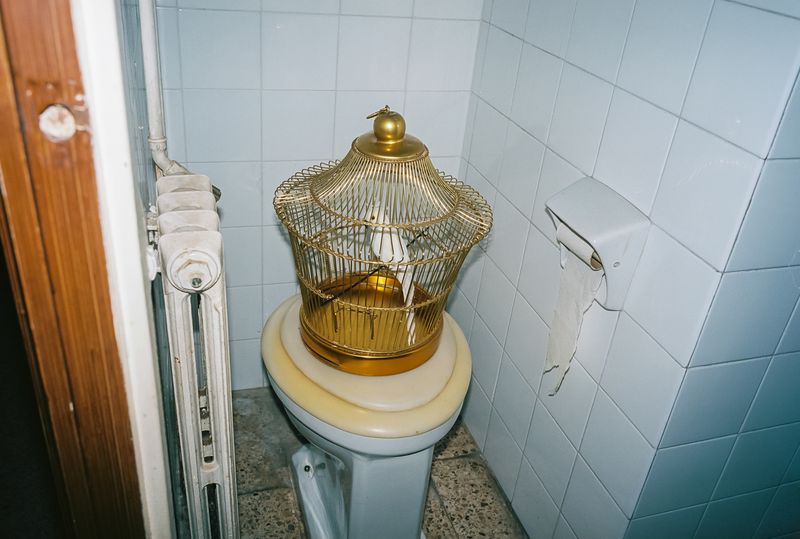 © Shathinda De Zoysa - Image from the Where were you all this time, when I didn't miss you? photography project