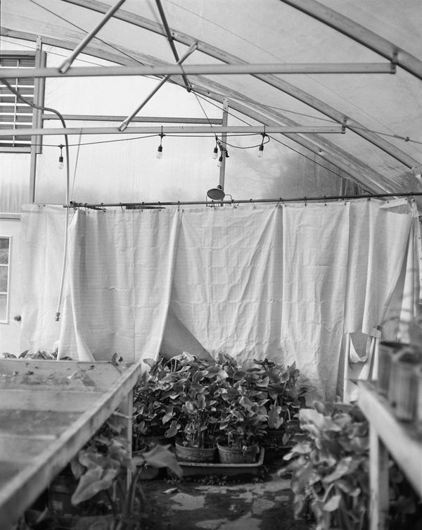 © Marco Battezzati - Image from the That silence beyond the window photography project