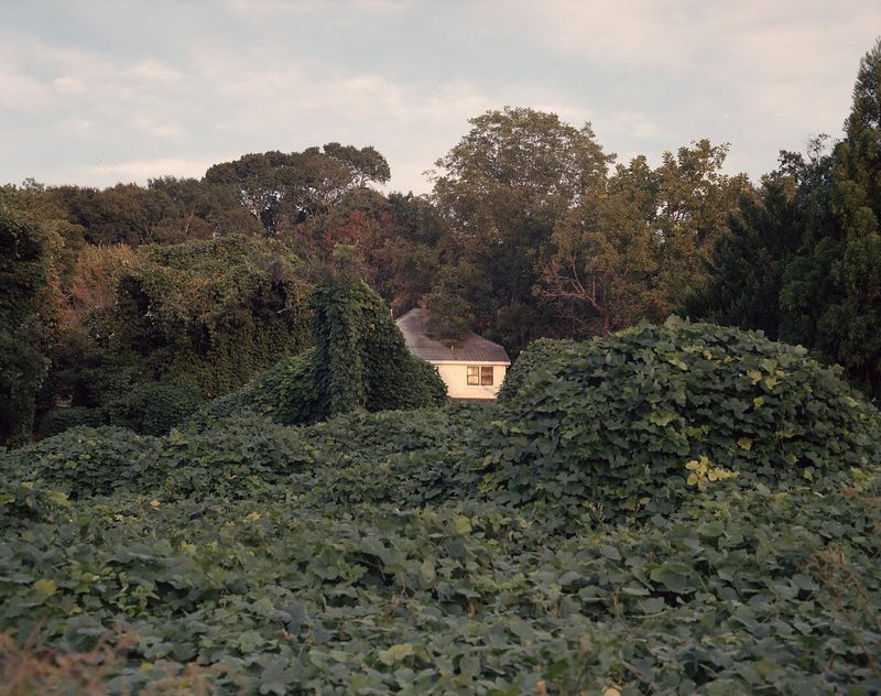 © Marco Battezzati - Image from the That silence beyond the window photography project