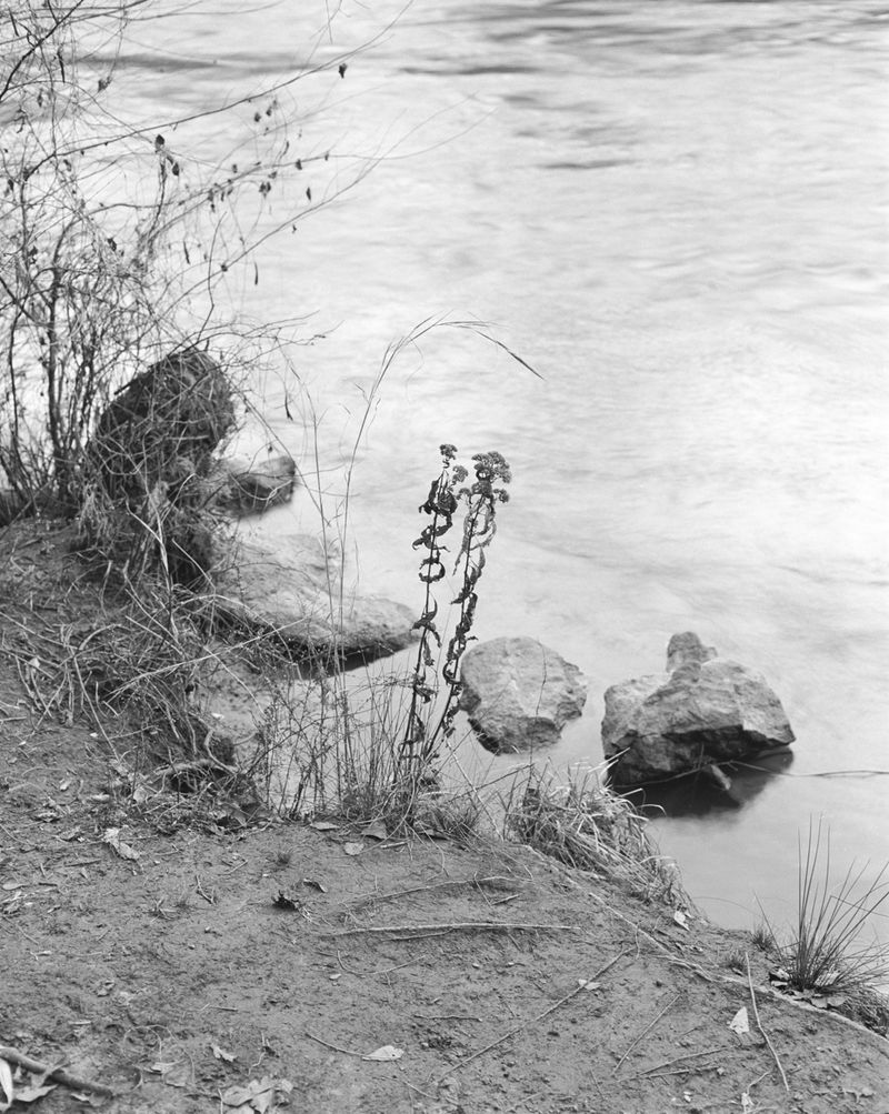 © Marco Battezzati - Image from the That silence beyond the window photography project