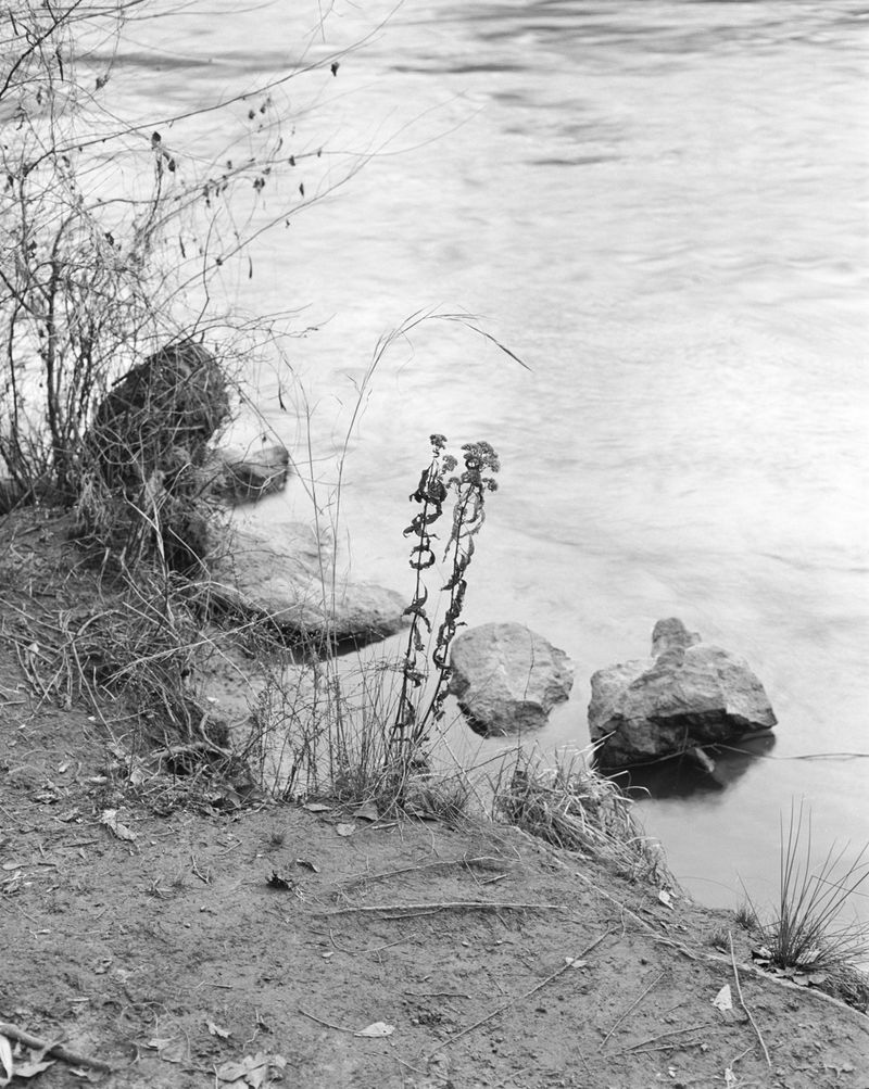 © Marco Battezzati - Image from the That silence beyond the window photography project