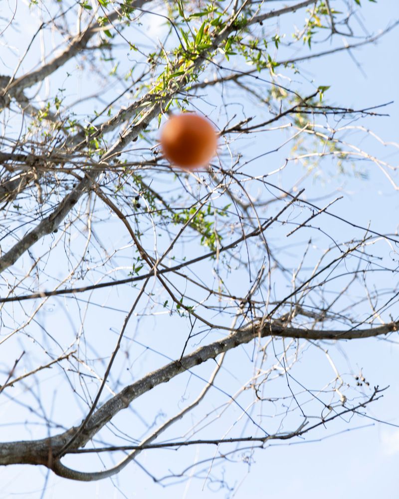 © Marco Battezzati - Image from the That silence beyond the window photography project