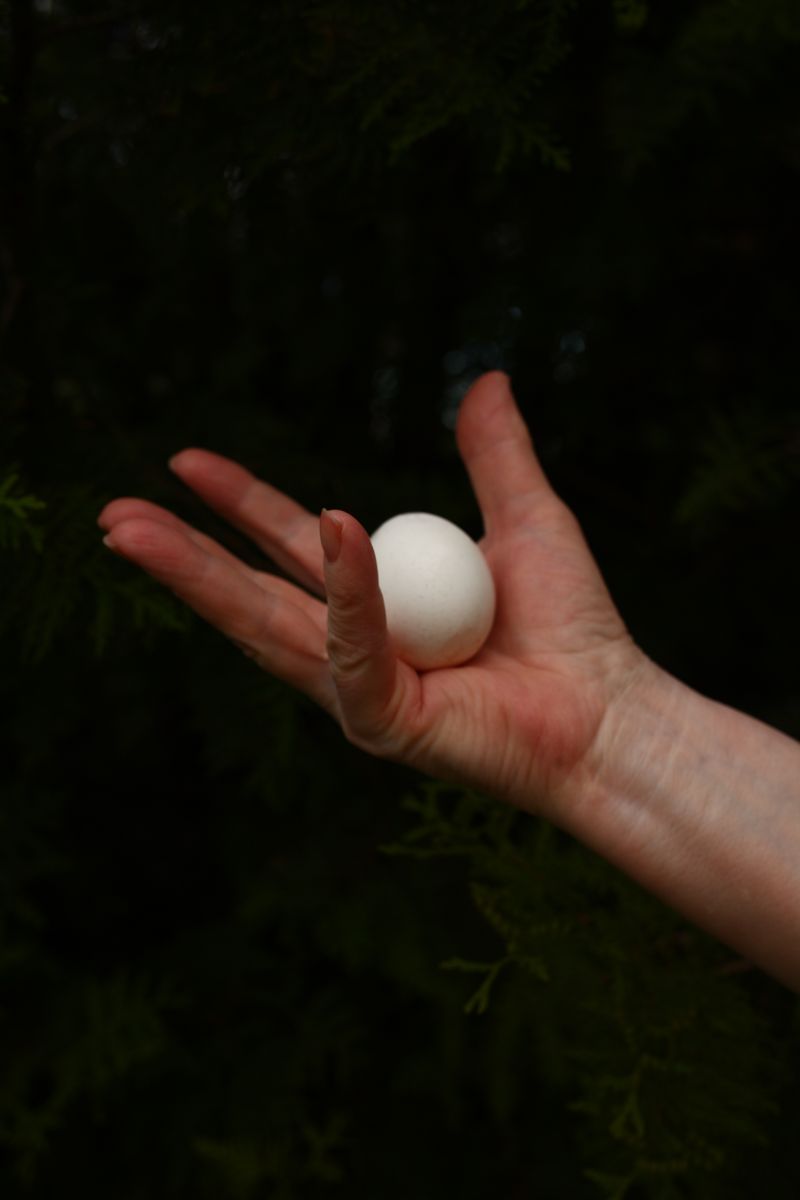 © Arina Titova - Image from the Sonnet XXVI photography project