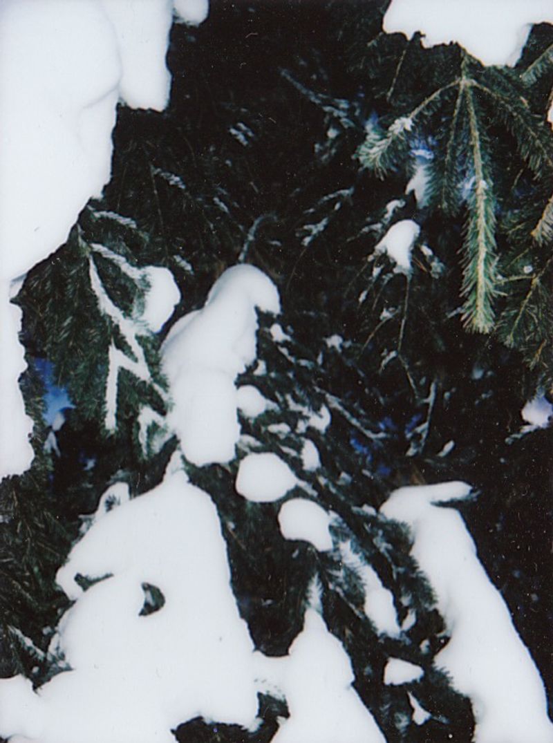 © Arina Titova - Image from the Sonnet XXVI photography project