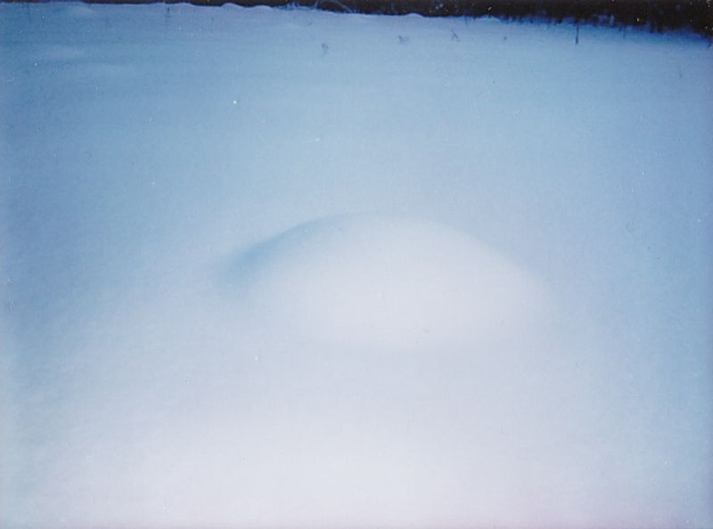 © Arina Titova - Image from the Sonnet XXVI photography project