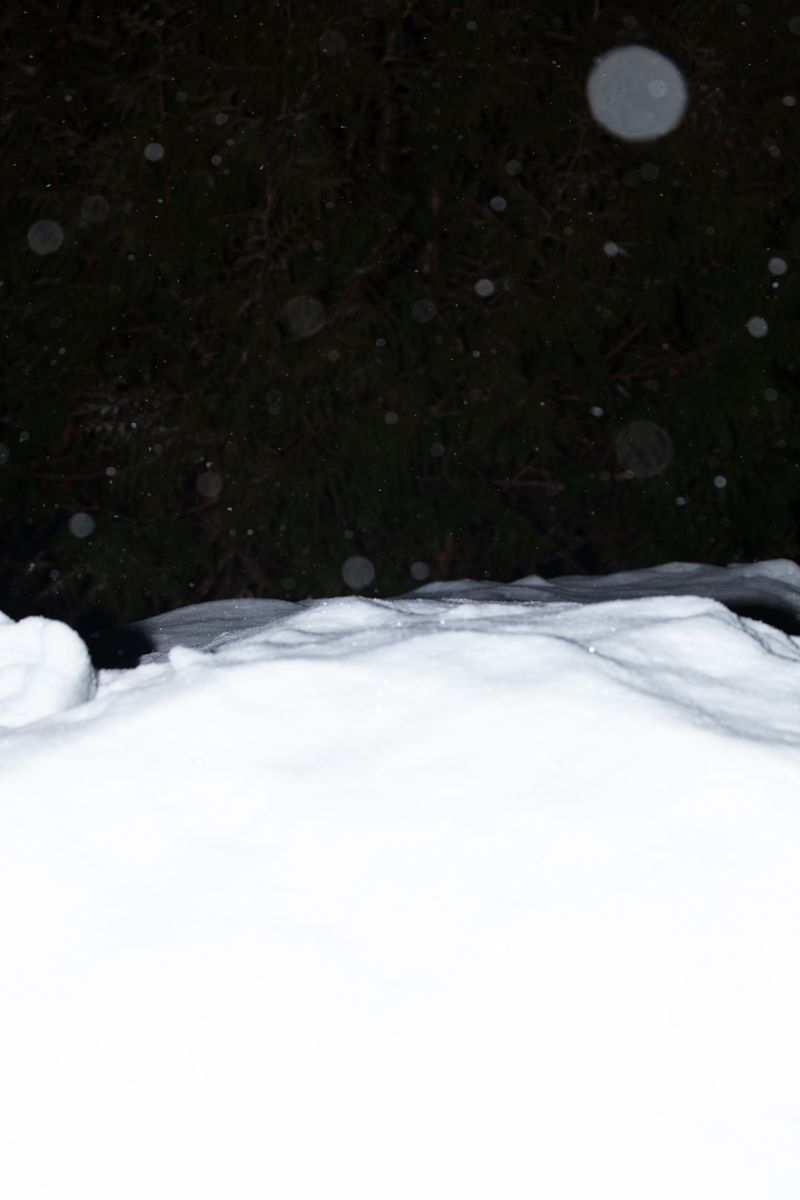 © Arina Titova - Image from the Sonnet XXVI photography project