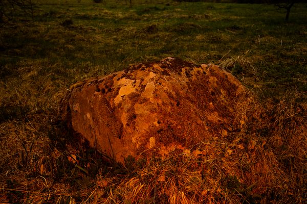 © Arina Titova - Image from the Sonnet XXVI photography project