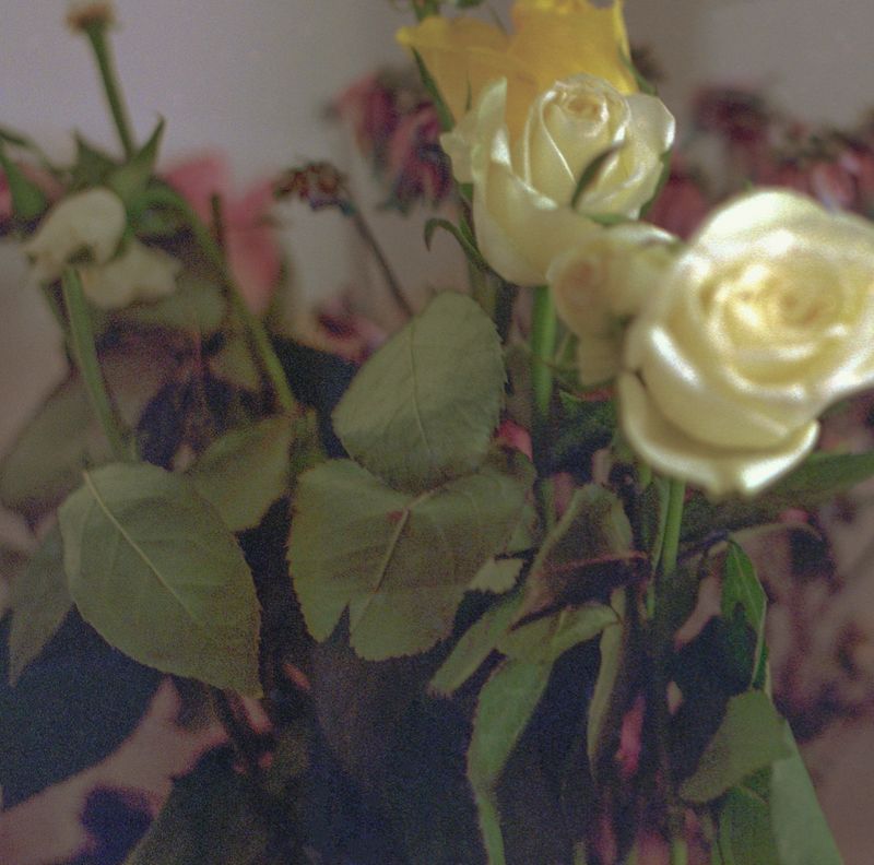 © Tyler Ashford - Image from the Matrescence photography project