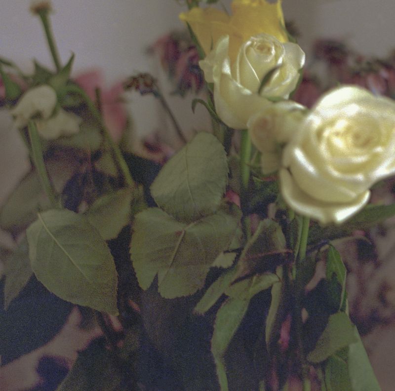 © Tyler Ashford - Image from the Matrescence photography project