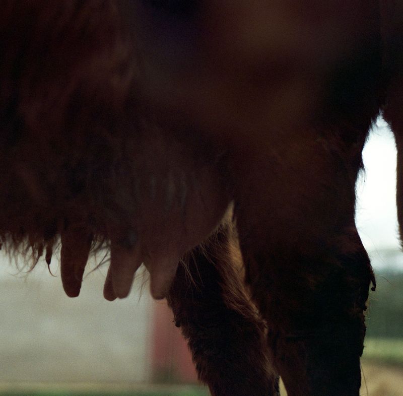 © Tyler Ashford - Image from the Matrescence photography project