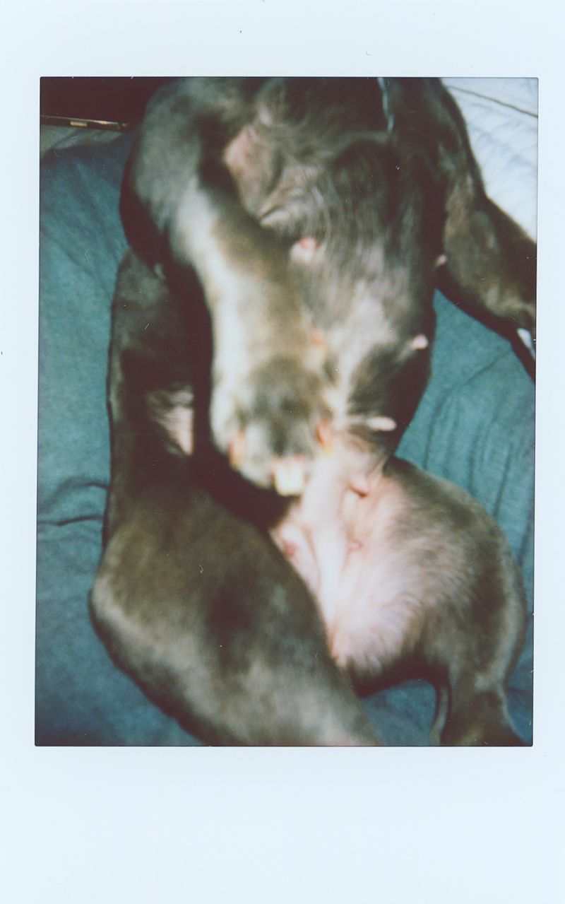 © Tyler Ashford - Image from the Matrescence photography project