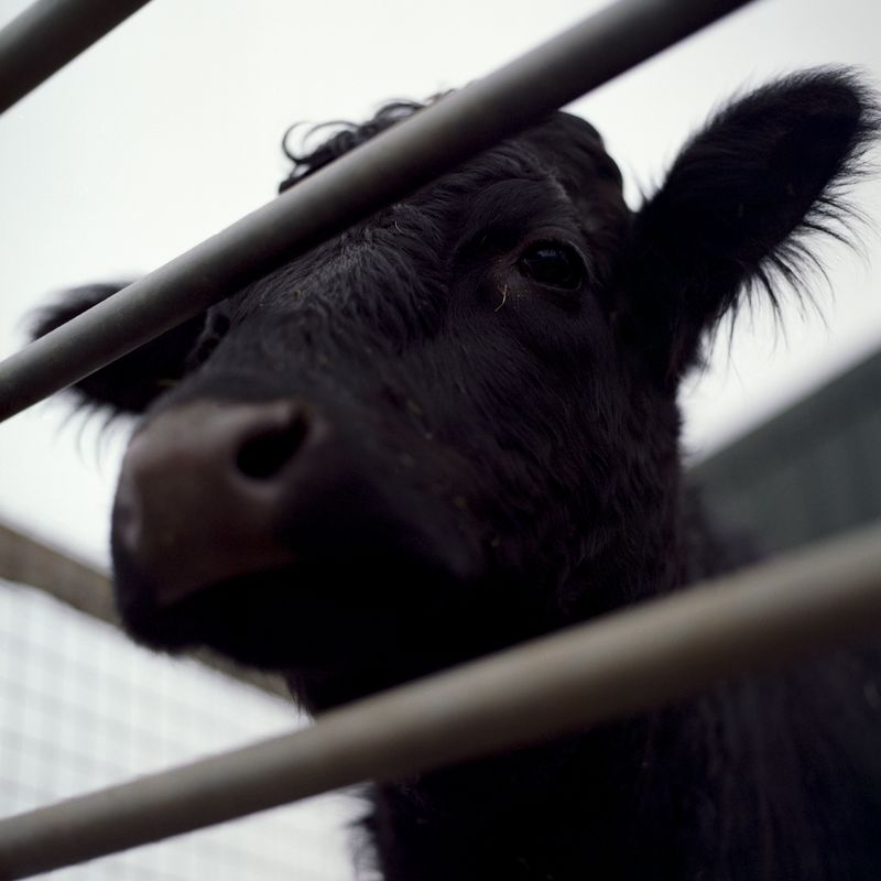 © Tyler Ashford - Image from the Matrescence photography project