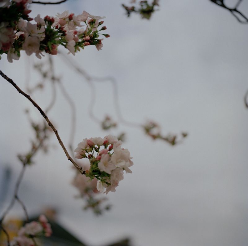 © Tyler Ashford - Image from the You can be the Dad photography project