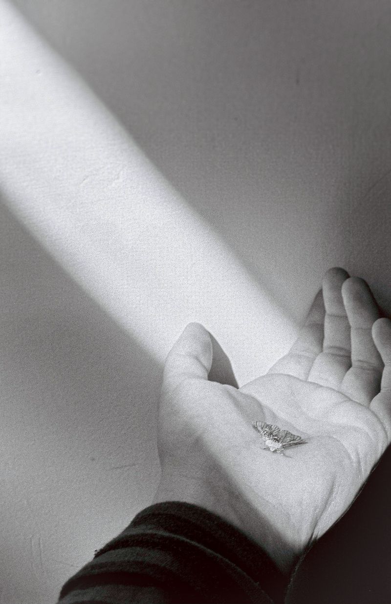 © Tyler Ashford - Image from the Dyfal donc a dyr y garreg photography project