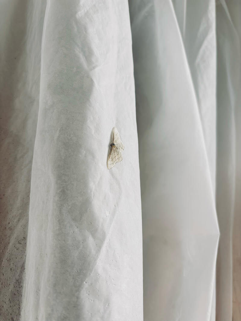 © Tyler Ashford - Image from the Dyfal donc a dyr y garreg photography project