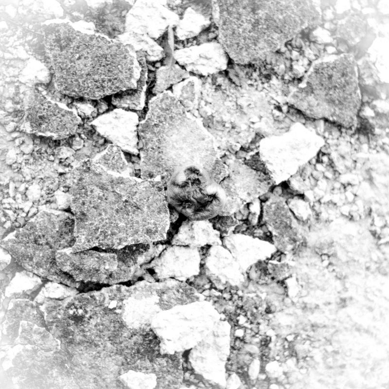 © Tyler Ashford - Image from the Dyfal donc a dyr y garreg photography project