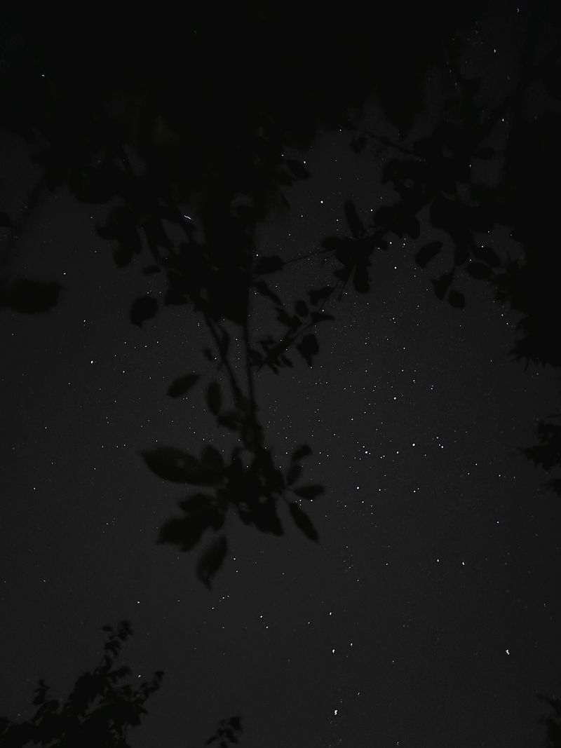 © Tyler Ashford - Image from the Dyfal donc a dyr y garreg photography project